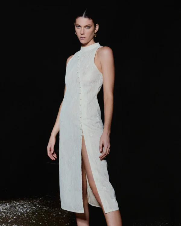The Dress 4.06